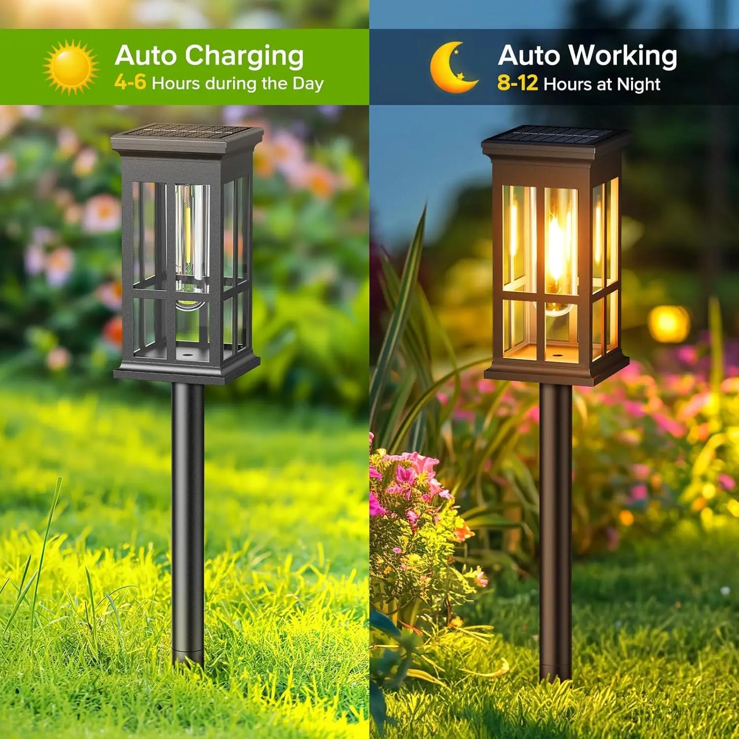 2/6/8 Pack Super Bright Solar Pathway Lights
