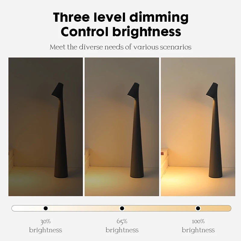 Portable USB Rechargeable LED Table Lamp