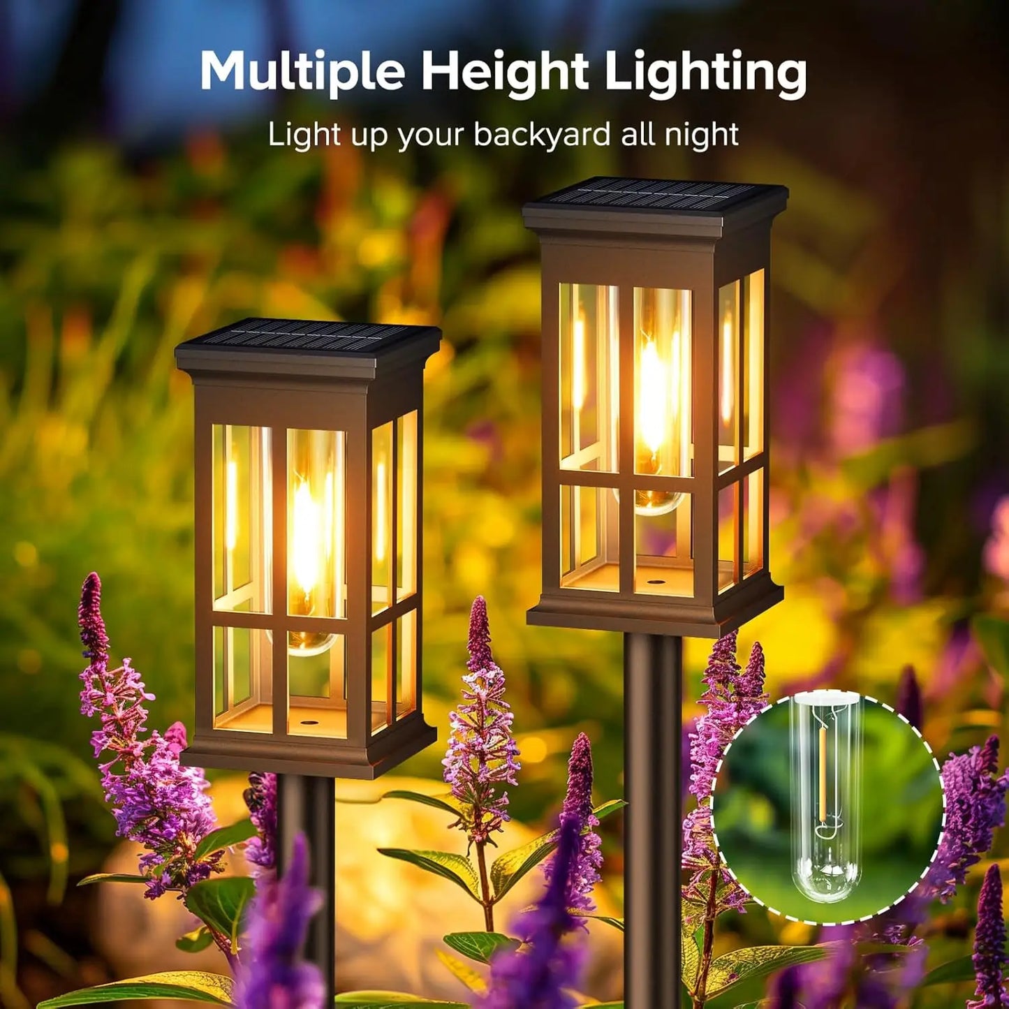 2/6/8 Pack Super Bright Solar Pathway Lights