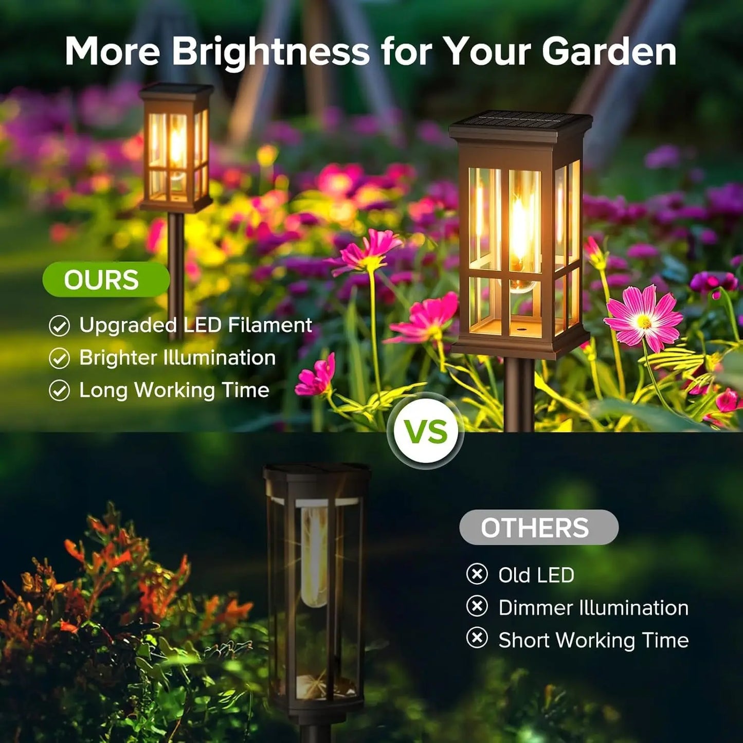 2/6/8 Pack Super Bright Solar Pathway Lights